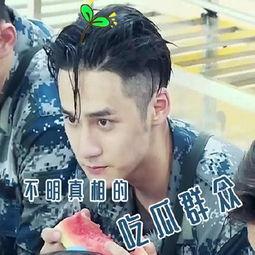 娱乐吃瓜酱帅爷爷,揭秘帅爷爷的传奇人生  第3张